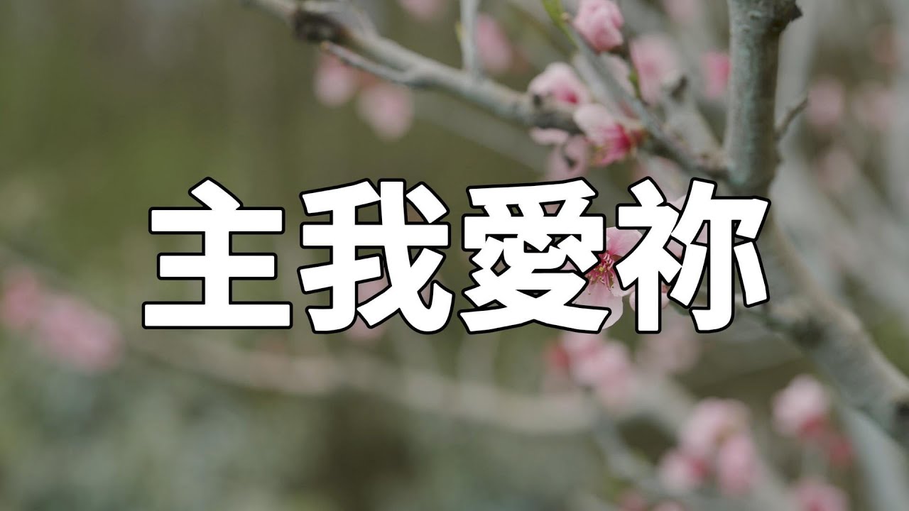 【讚美詩歌】主我愛祢｜我贊美祢名來敬拜祢｜我的靈歡欣｜願我聲音在祢耳裡｜是一個甜蜜甜蜜的聲音