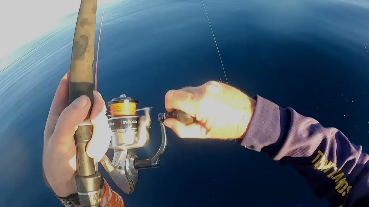 Chasing Mackrell and large mouth nannygai off Townsville reefs.