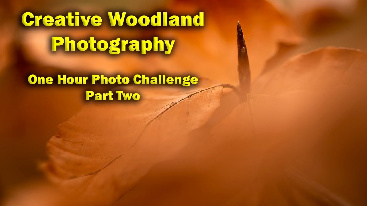 One Hour Photo Challenge Part Two