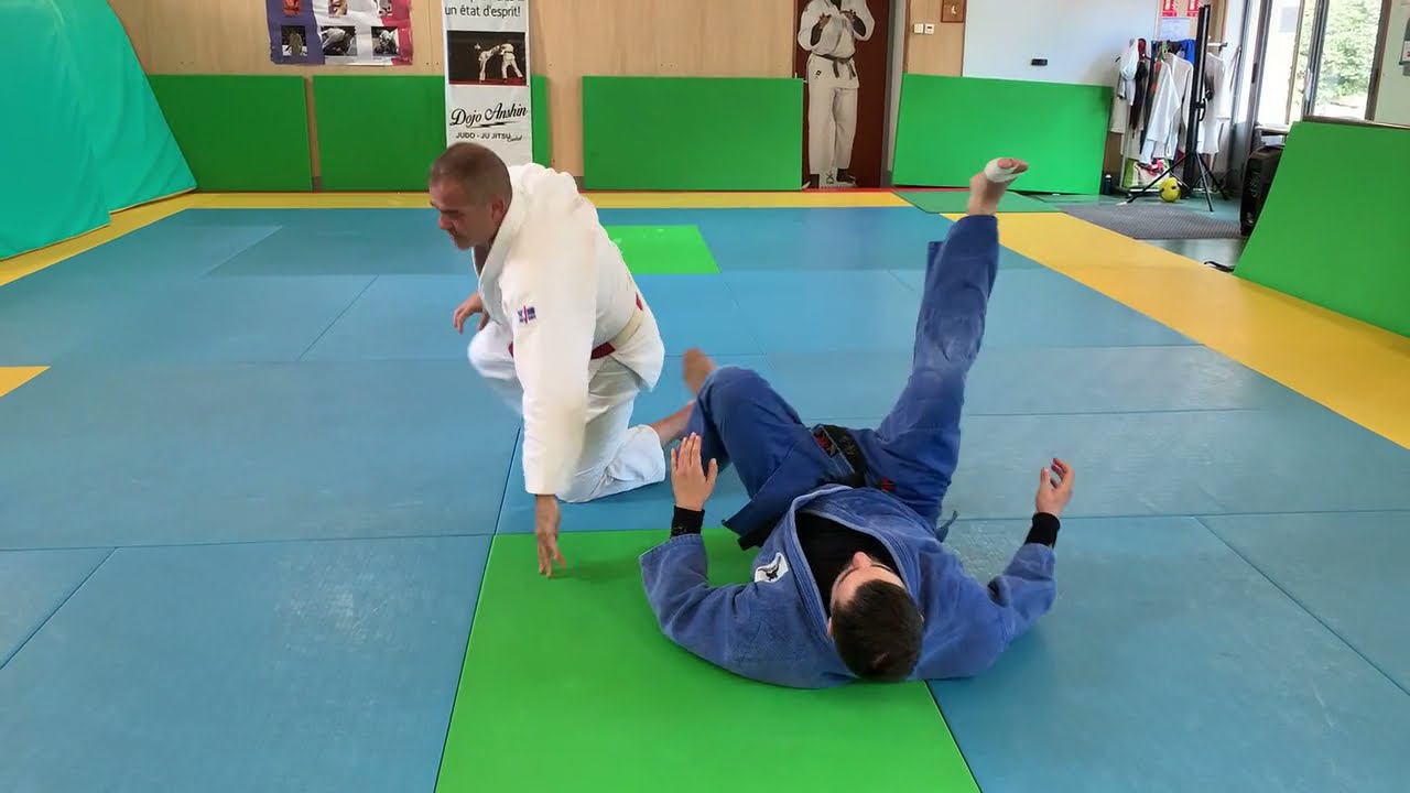 Ippon Seoi Nage: enchainements en cascade