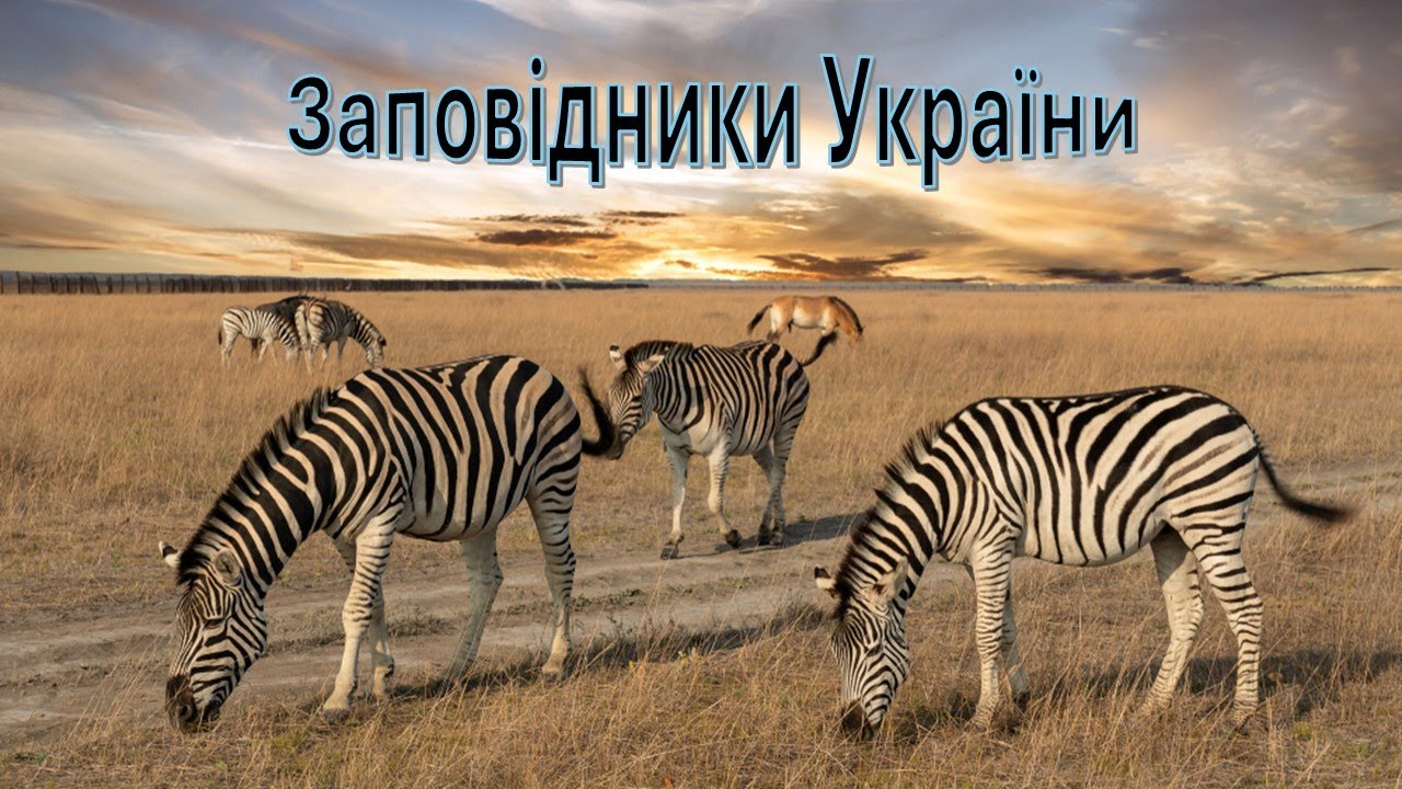 Заповідники України.