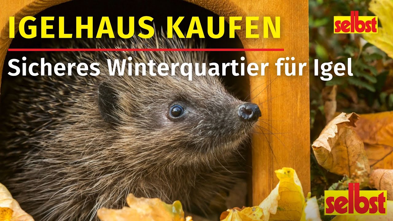 Igelhaus - Sicheres und artgerechtes Winterquartier