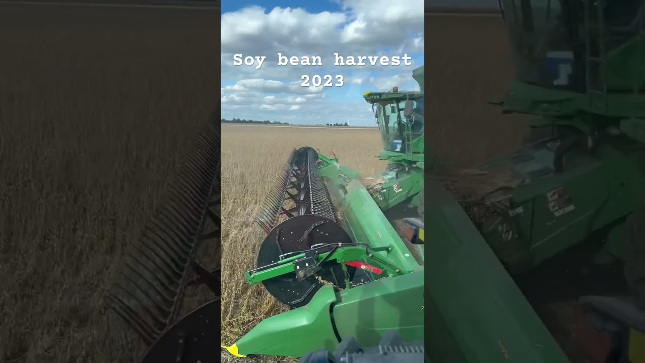 MIDWEST SOYBEAN HARVEST! 