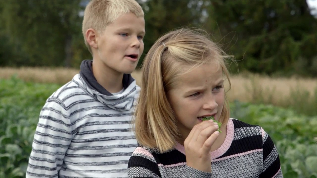 Berit Nordstrand på økologisk bondegård - sunne chips av grønnkål