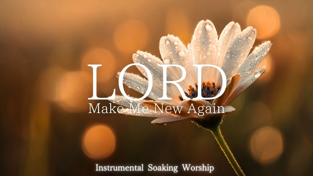 Lord, Make Me New Again｜Soaking Worship Instrumental -Prayer Music For Devotional, Meditation, Relax