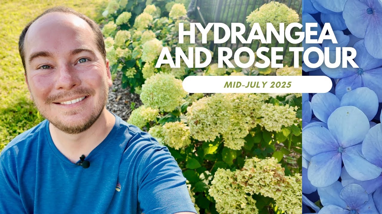 Hydrangea and Rose Tour (Mid-July 2025) | The Southerner's Garden