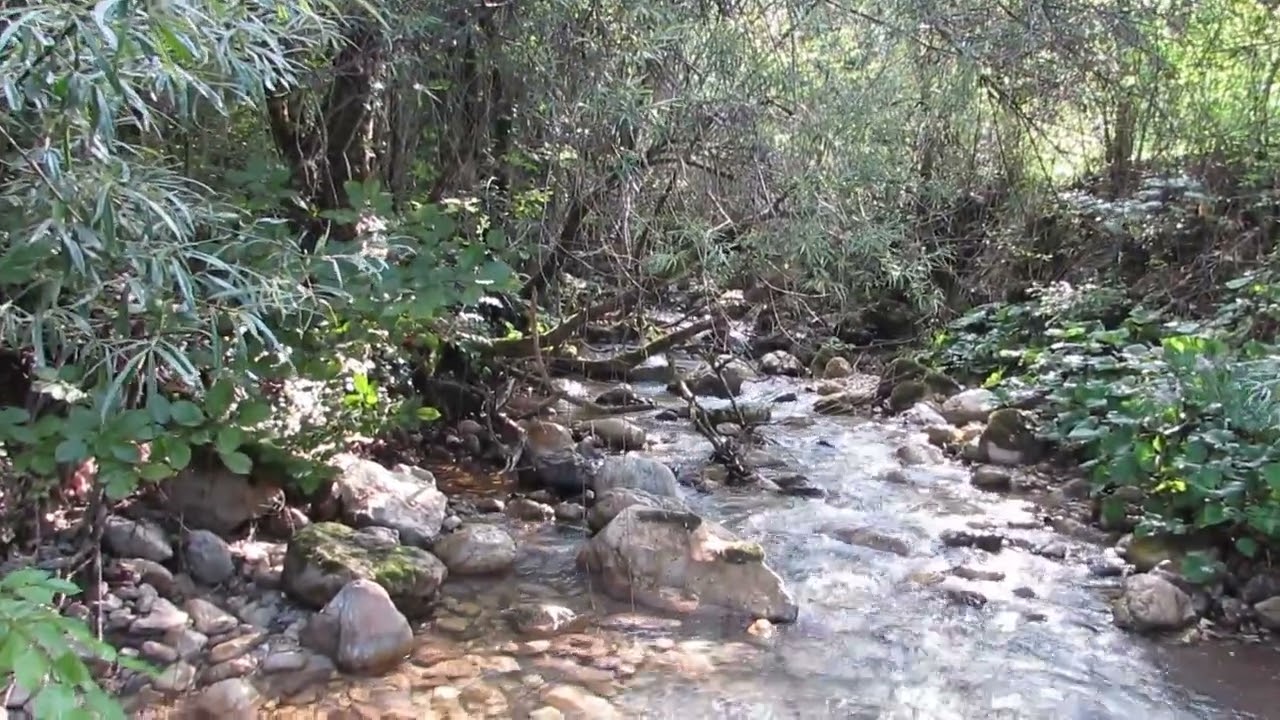 Rijeka Basčica-Konjic
