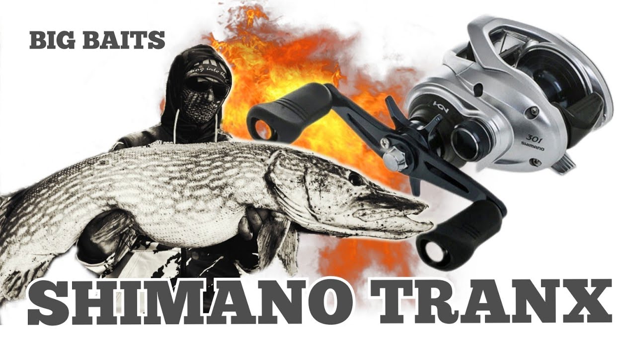 SHIMANO TRANX 301A. Мульт який мене здивував! Шнур BERKLEY tracer braid.Big baits