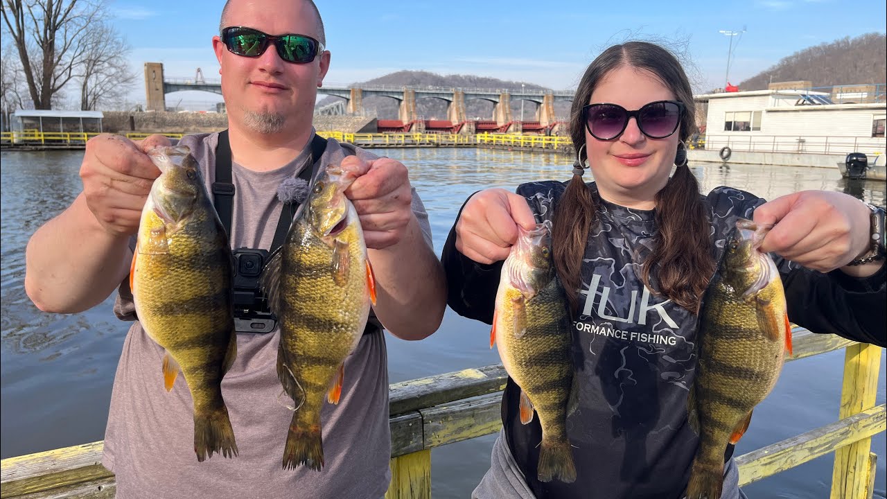 JUMBO Perch Fishing on Clement&rsquo;s Barge &ndash; Mississippi River Action!