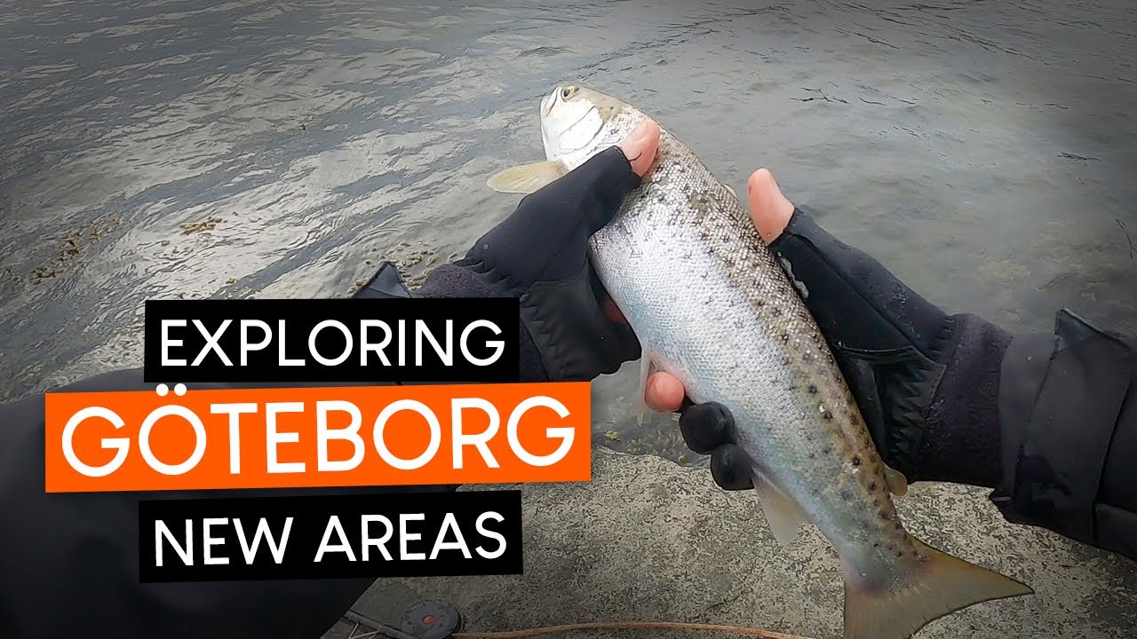 EXPLORING new areas for mackerel and sea trout FISHING in GOTHENBURG