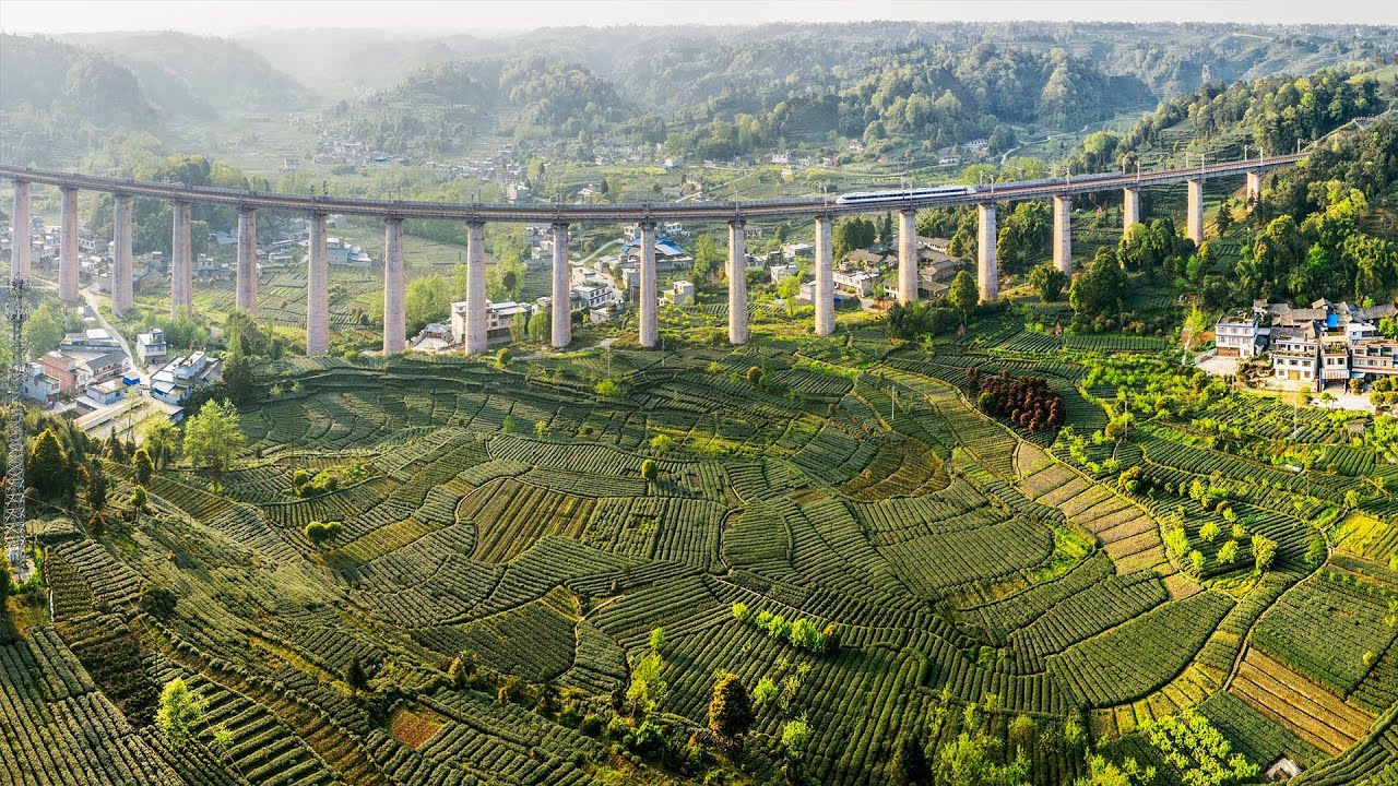 Leading China: China's entrepreneurship and rural vitalization
