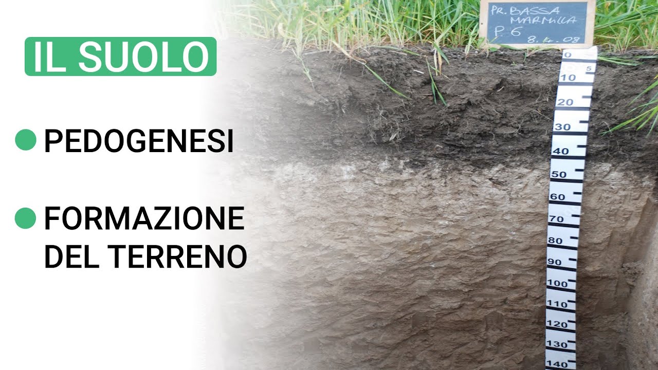 Pedogenesi e Formazione del Terreno - Come funzionano?