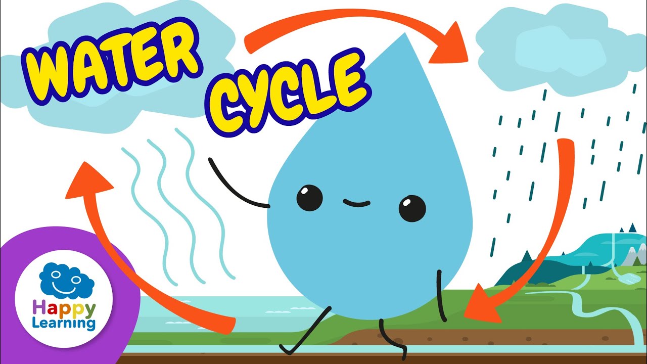 THE WATER CYCLE💧: How It Works and Why It&rsquo;s Important | Science for Kids 🌍 Happy Learning