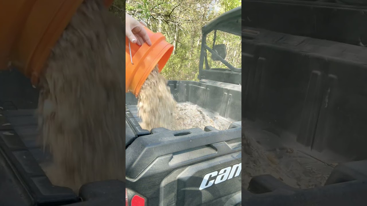 Why You Should Use Hemp Bedding in Your Coop