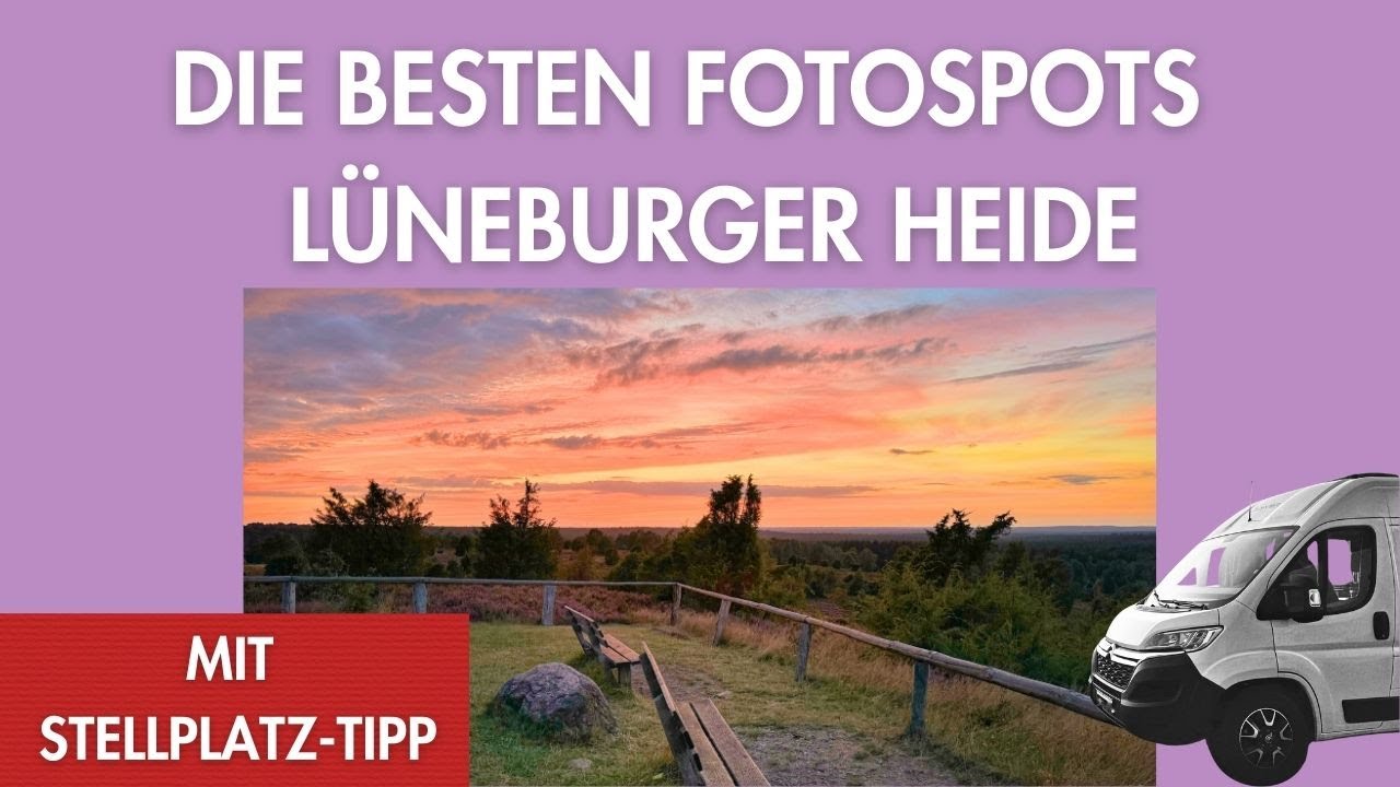 🌸 Heideblüte in der Lüneburger Heide: Die besten Fotospots 📸
