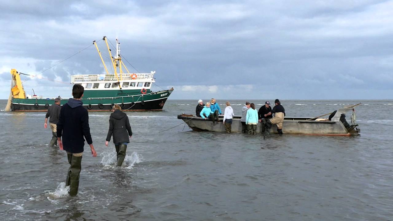 Waddenzee, een muzikale impressie van een dagtocht