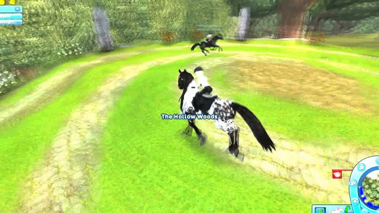 Star Stable Change Water Color Glitch