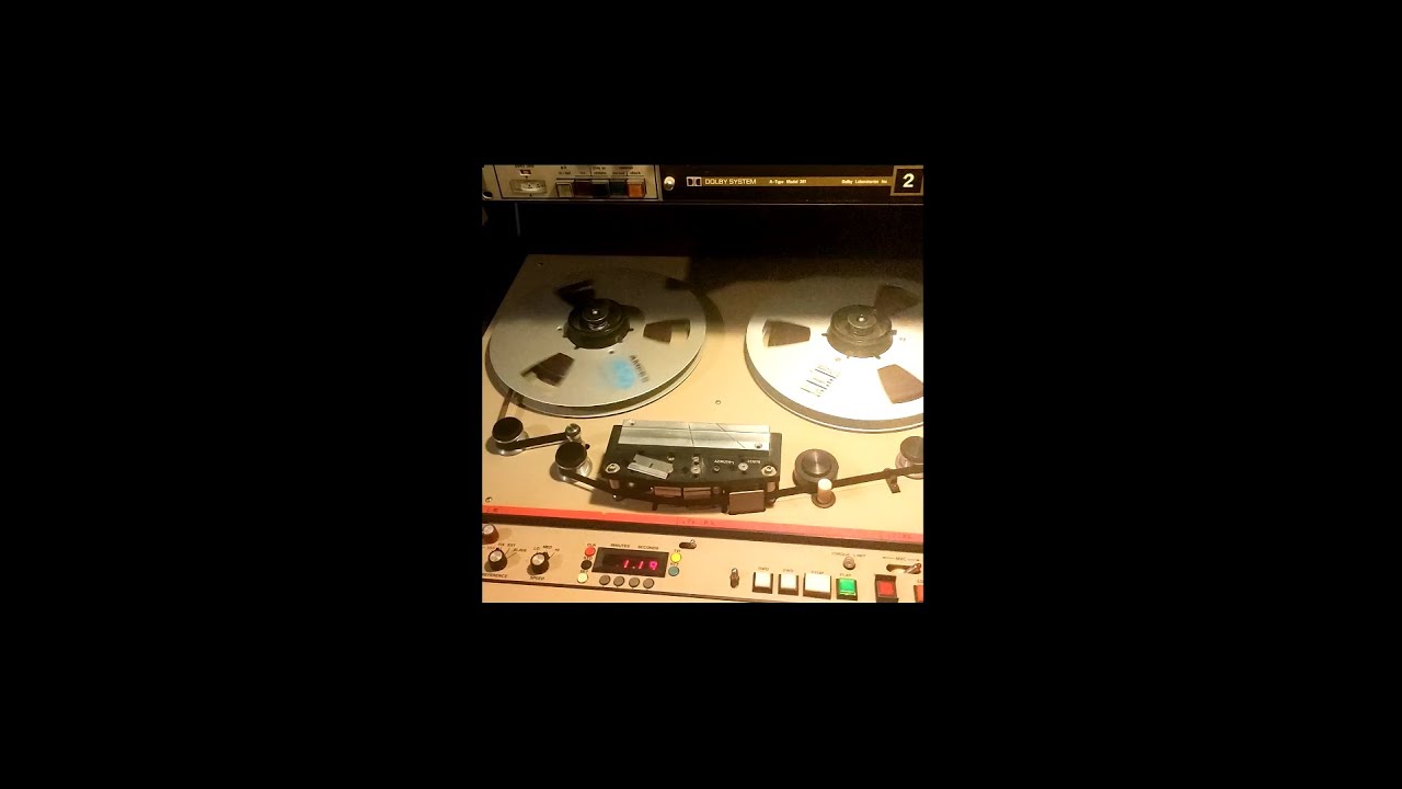 DEAD CHIC - The Belly Of The Jungle [Radio Edit]  (Lyrics Video)