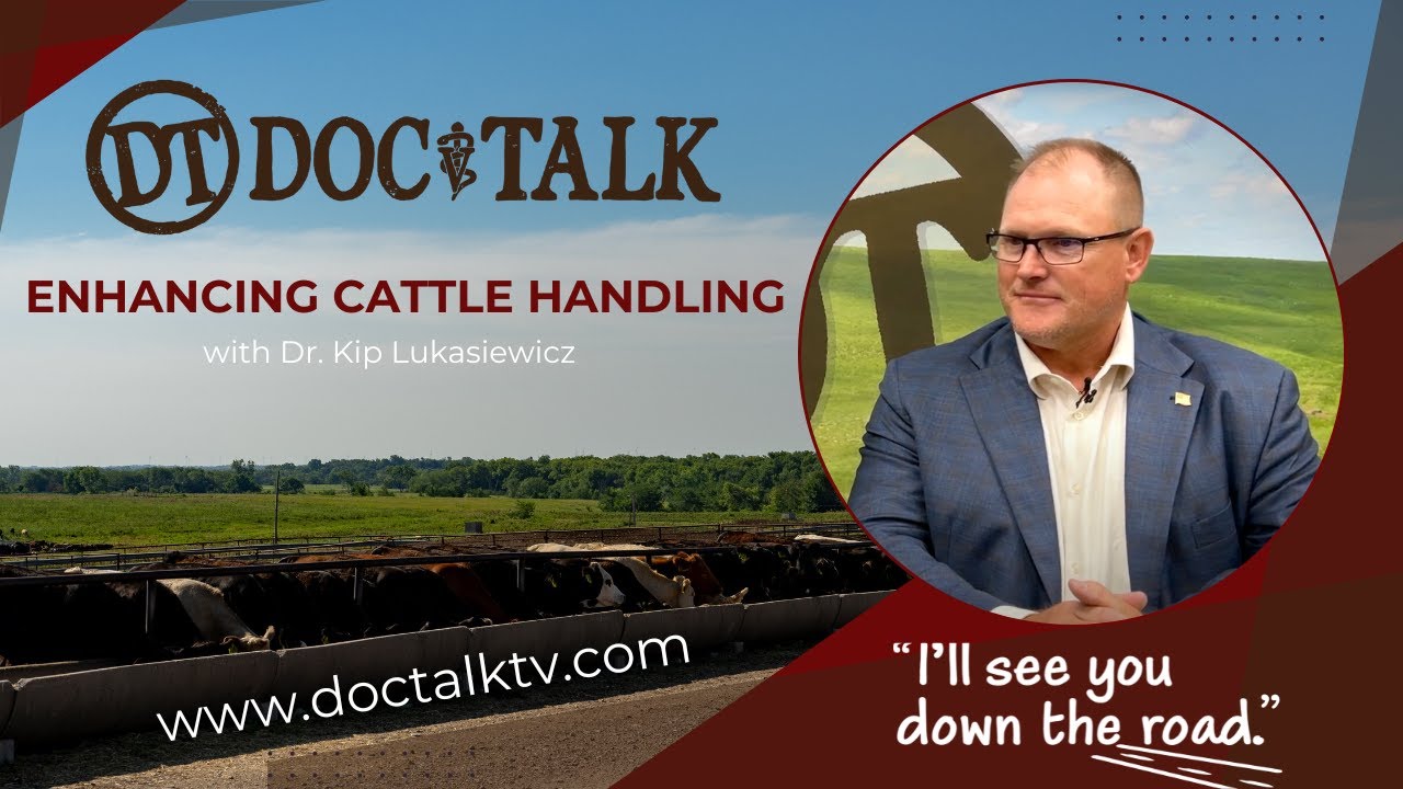 DocTalk Ep 585 - Enhancing Cattle Handling with Dr. Kip Lukasiewicz