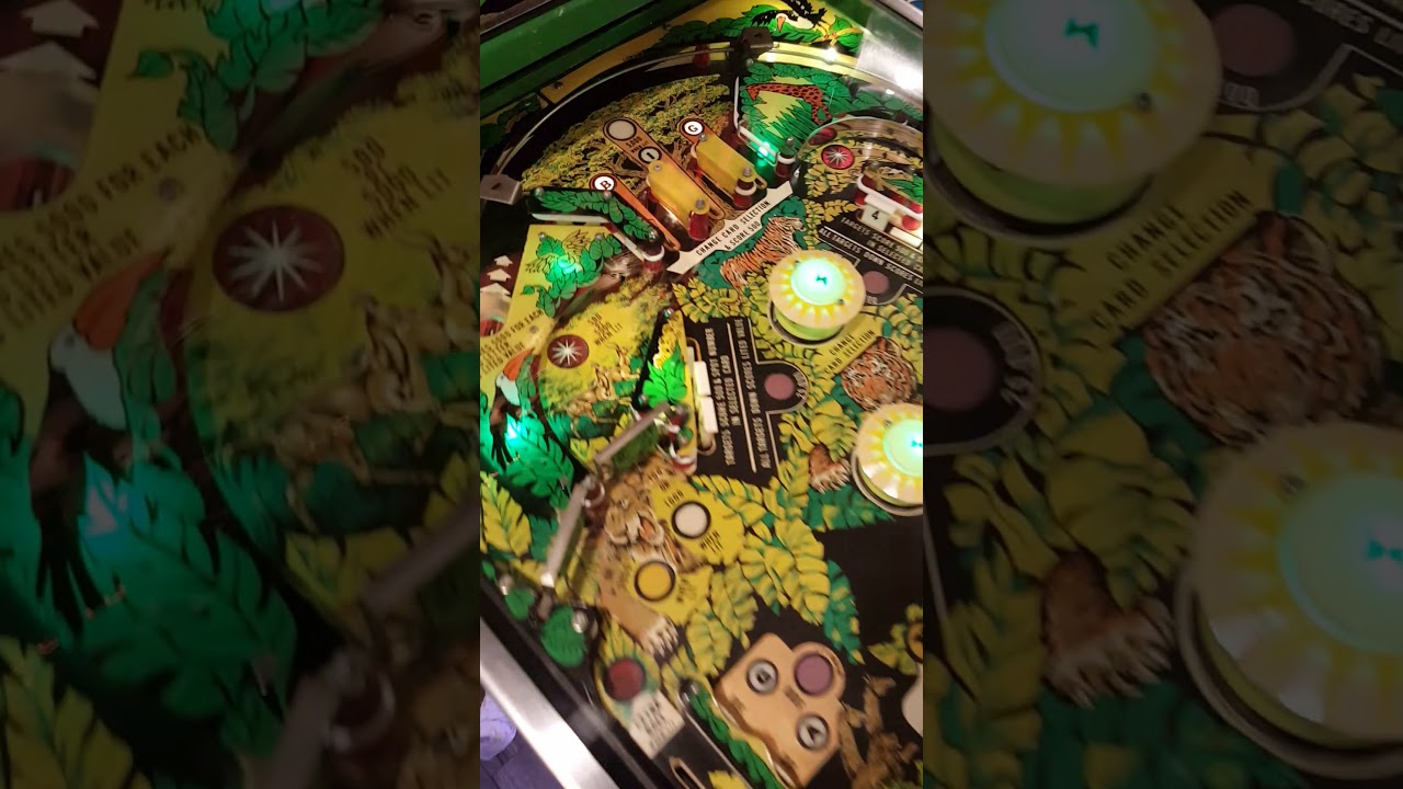 Big Game Pinball gameplay