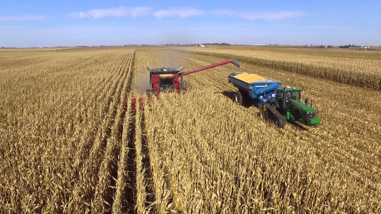 WPI Corn Harvest and Tillage, Iowa 2015