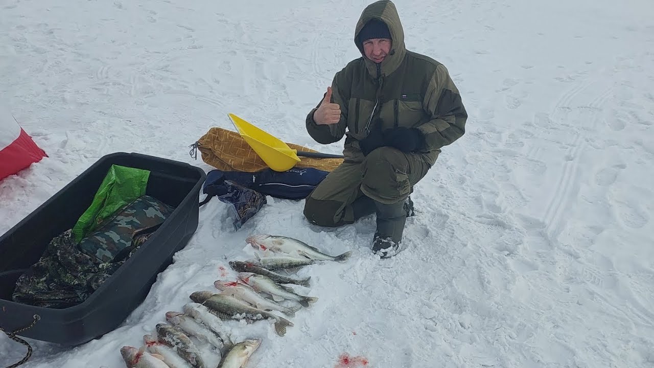 Очередной выезд на судака .Темиртау .Самаркандское Водохранилище.  5 02 2026 