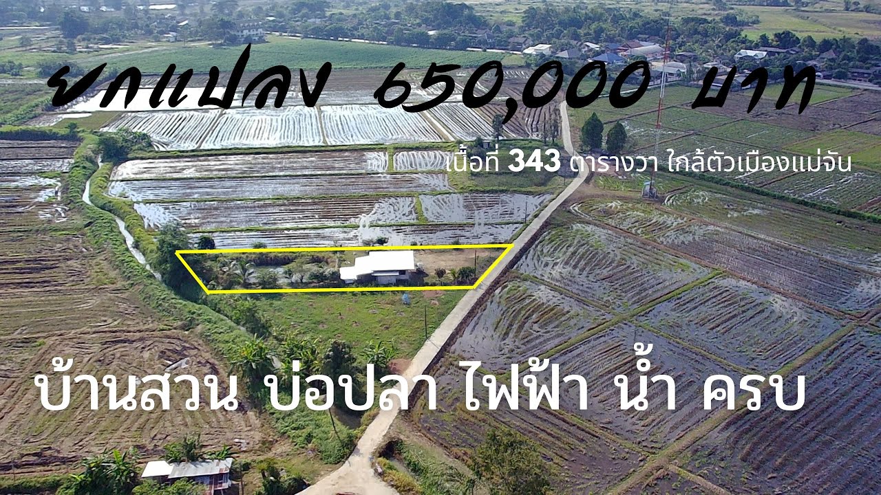 ((ปิดการขาย))CR65255   บ้านสวน 343 ตรว ขาย 650,000 บาท  ต.จอมสวรรค์ อ. แม่จัน