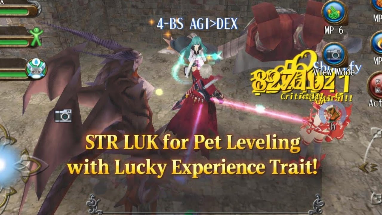 Trying STR LUK + Lucky Experience for Faster Pet Leveling | Toram Online