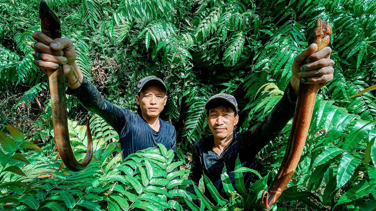 Lươn nấu canh chua 