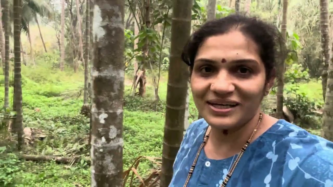 ಮಹಿಳೆಯರಿಗಾಗಿ ಬಹು ಉಪಯೋಗಕರವಾದ ವಸ್ತು/ತೋಟದಲ್ಲಿ ನೋಡಿ ನವಿಲುಗಳು