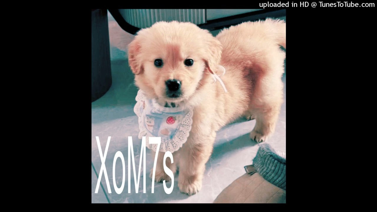 XoM7s - untitled