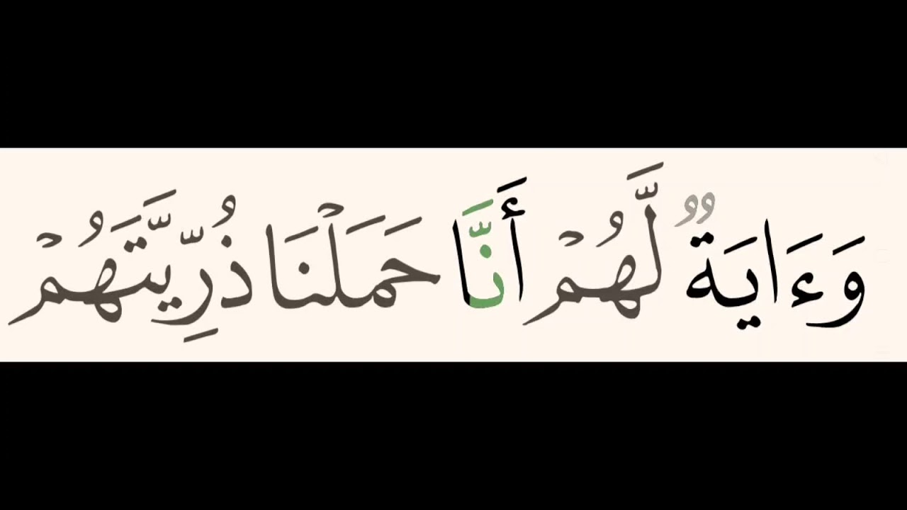 (4) Sourate 36 Yasin: versets de 41 à 54. #page443 #Coran_Hafs. Mimara Center