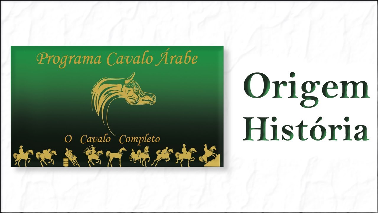 Programa Cavalo Árabe - Origem e História