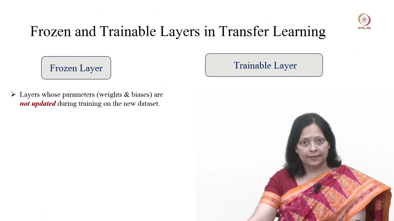 Lec 19 Introduction to Transfer Learning