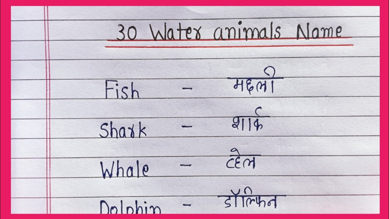 30 Water Animals Name in English and Hindi | जल जीवों के नाम | GK for Students
