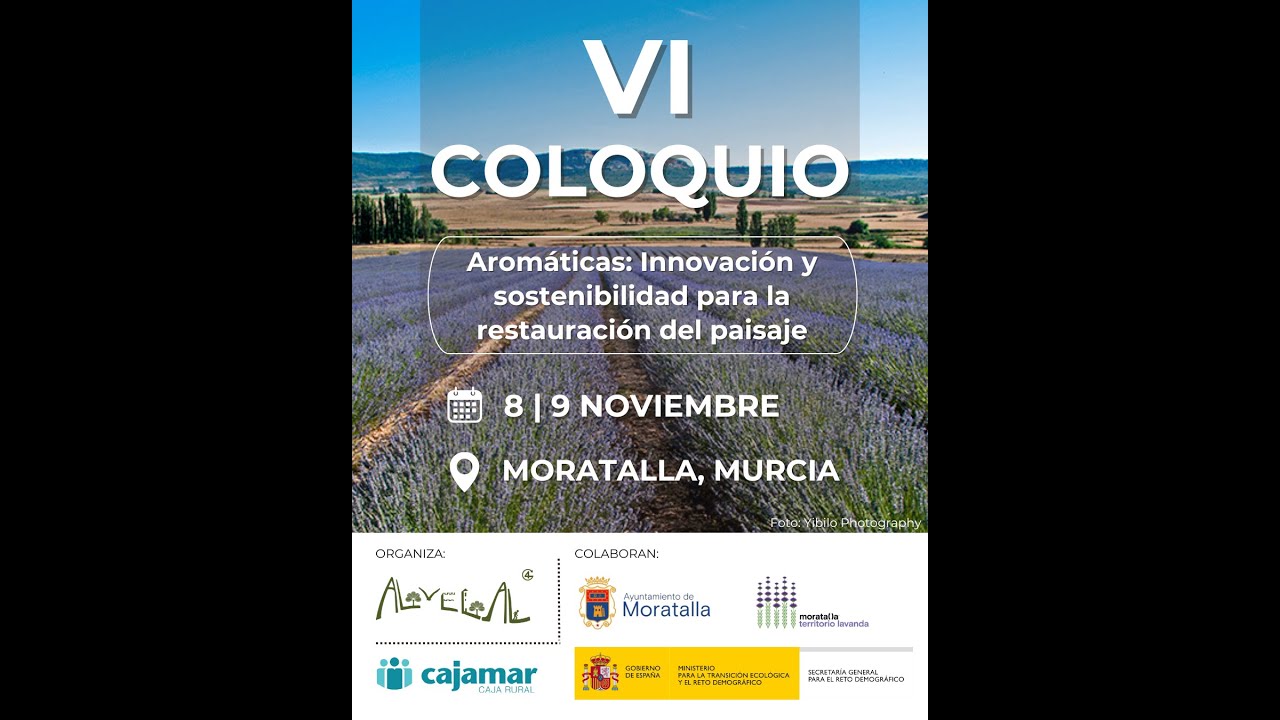 Territorio Lavanda: Revitalizando Moratalla con Aromáticas y Turismo Sostenible