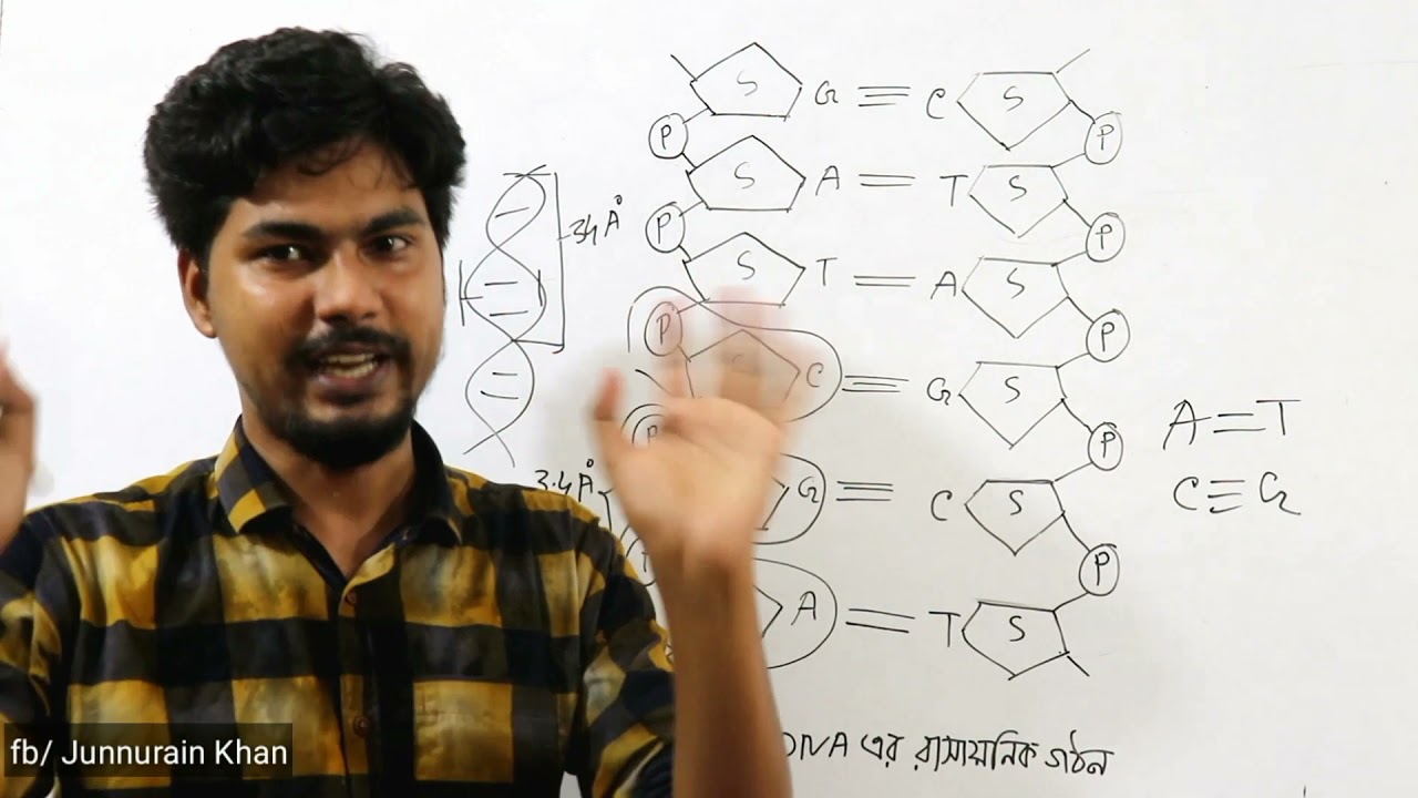 DNA এর গঠন | Structure Of DNA | SSC Biology Chapter 12 | জীবের বংশগতি ও বিবর্তন | Junnurain Khan