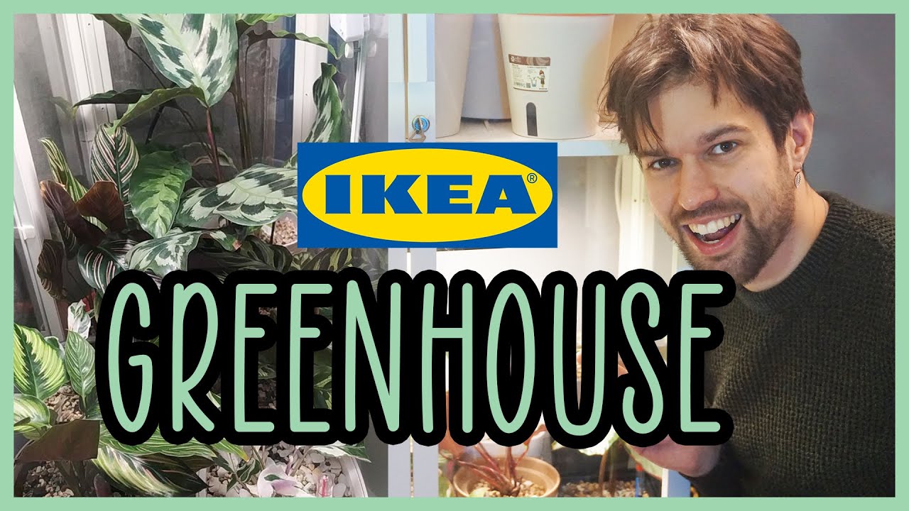 🪴GREENHOUSE: Come ho costruito una giungla in una vetrinetta!