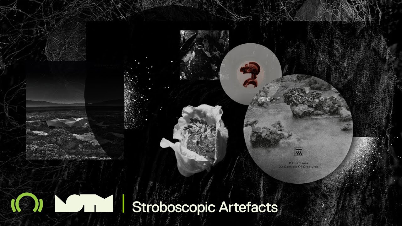 Beatport Label Of The Month | Stroboscopic Artefacts