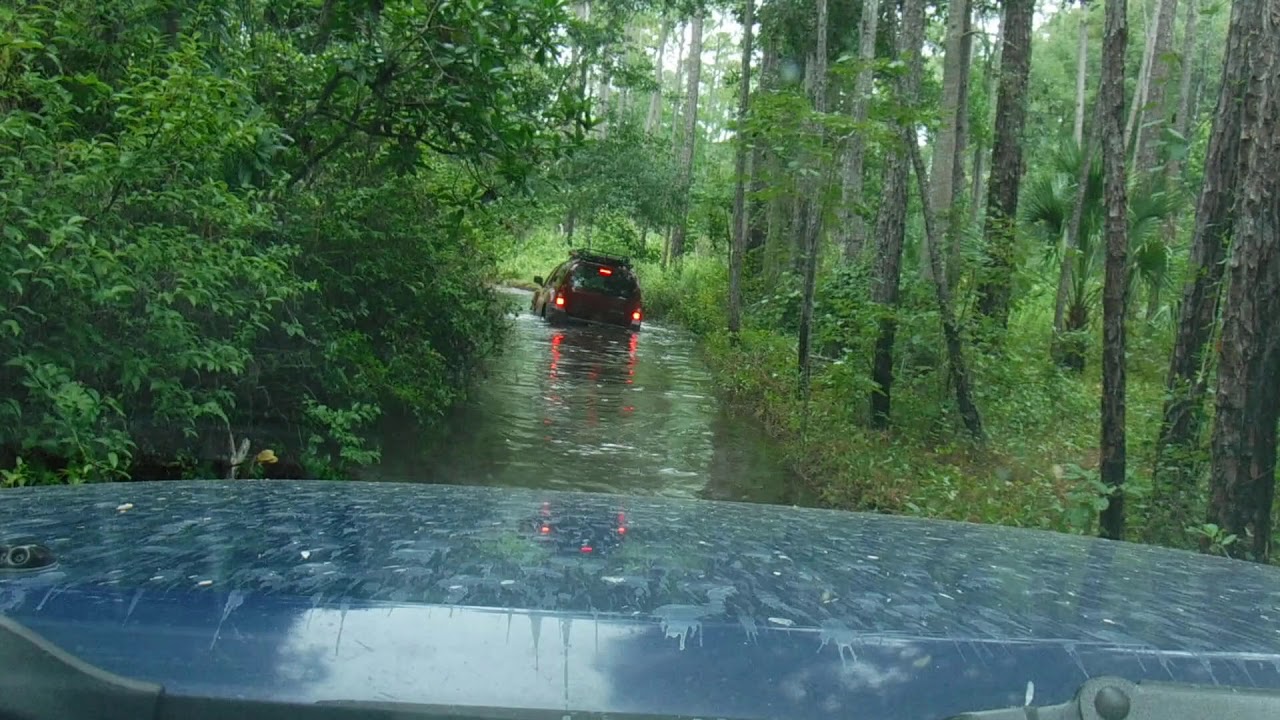 Xterras Offroading Flooded Ocala National Forest Trails