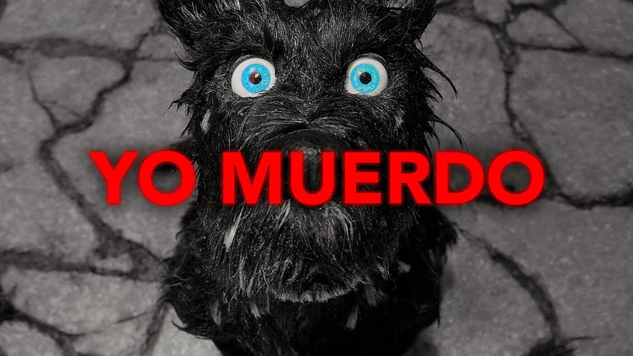 YO MUERDO