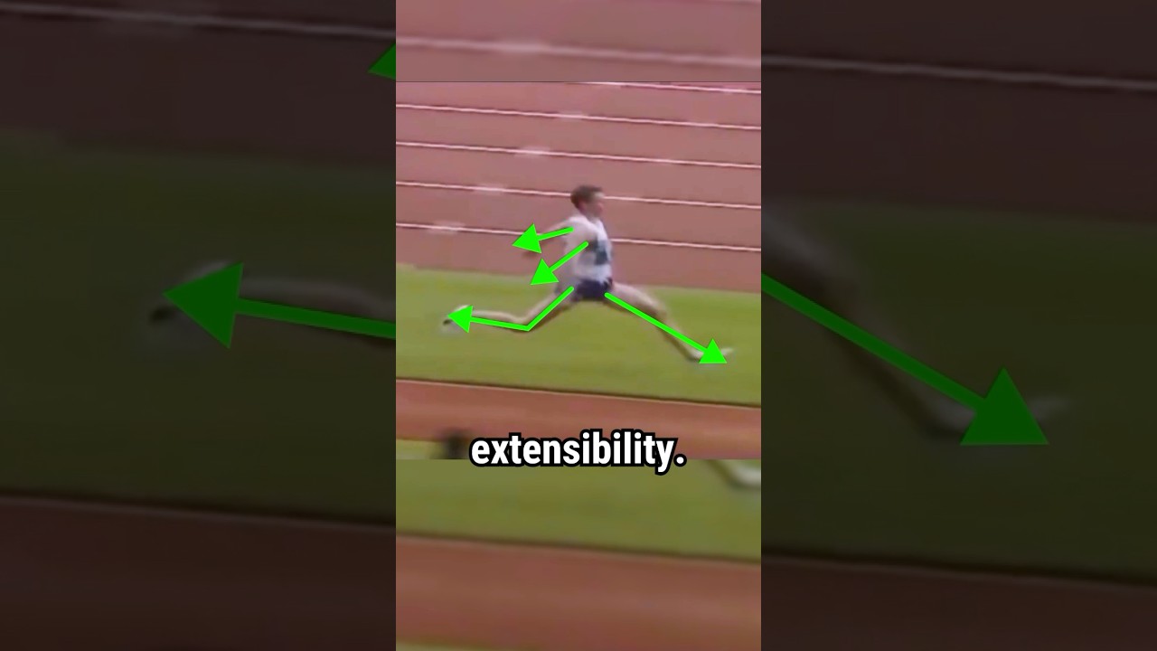 Jonathan Edwards Triple Jump World Record (All Conditions) Breakdown #triplejump #plyometrics