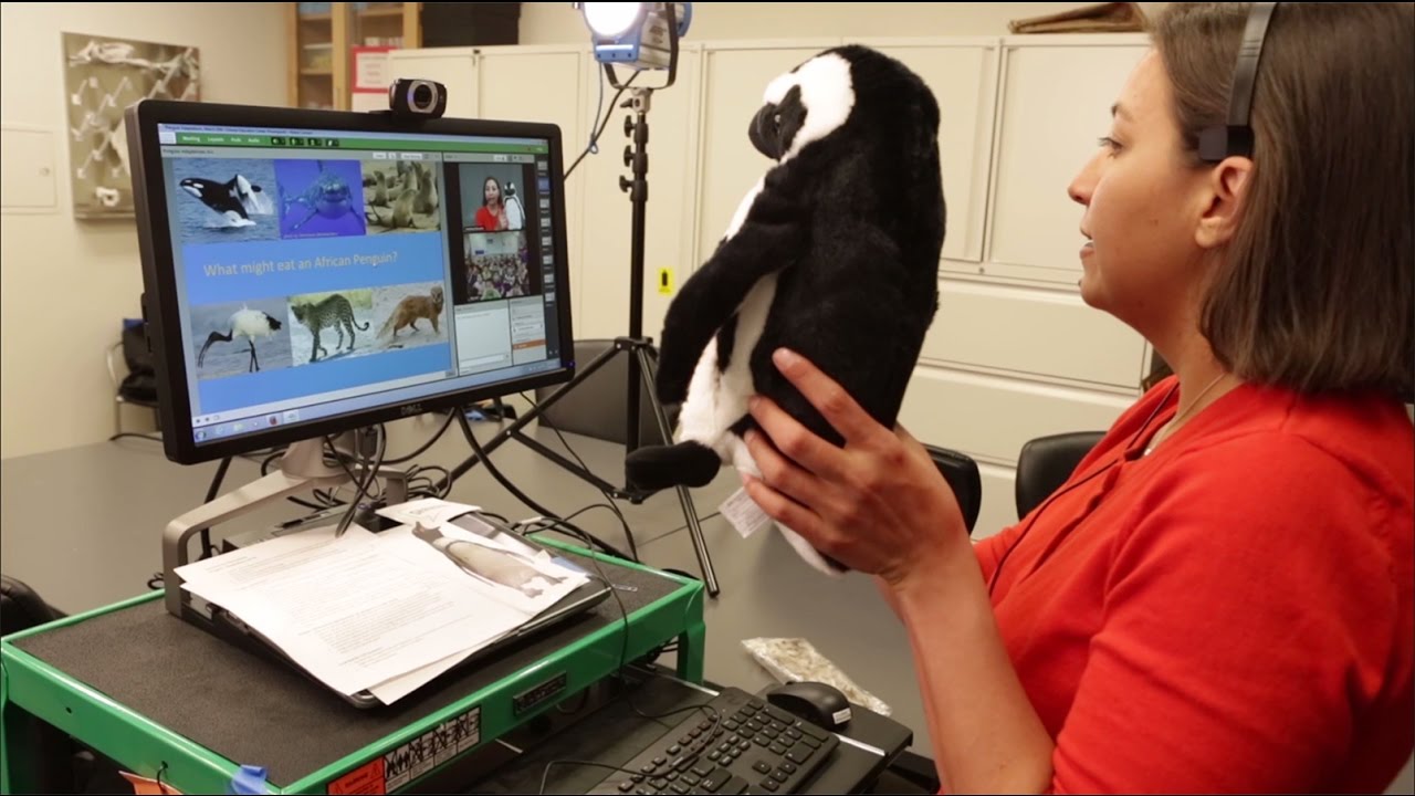 Distance Learning: Virtual Programs | California Academy of Sciences