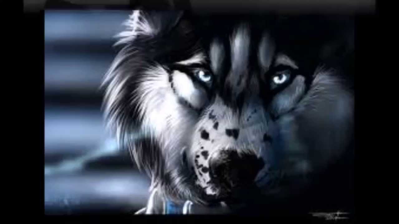 Rise-Skillet (Wolf Anime)
