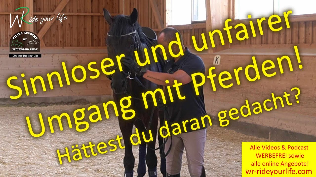 Skandale im Reitsport- denkt auch an diese Pferde! Denkanst&ouml;&szlig;e, Reiter, Ausbildung/Umgang,  Pferde!