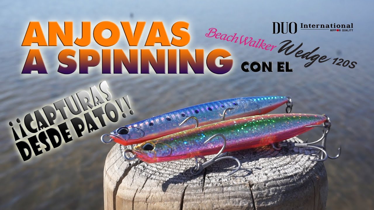 ANJOVAS a spinning 🎣 con el  DUO Beach Walker Wedge. ¡CAPTURAS DESDE PATO!🔥
