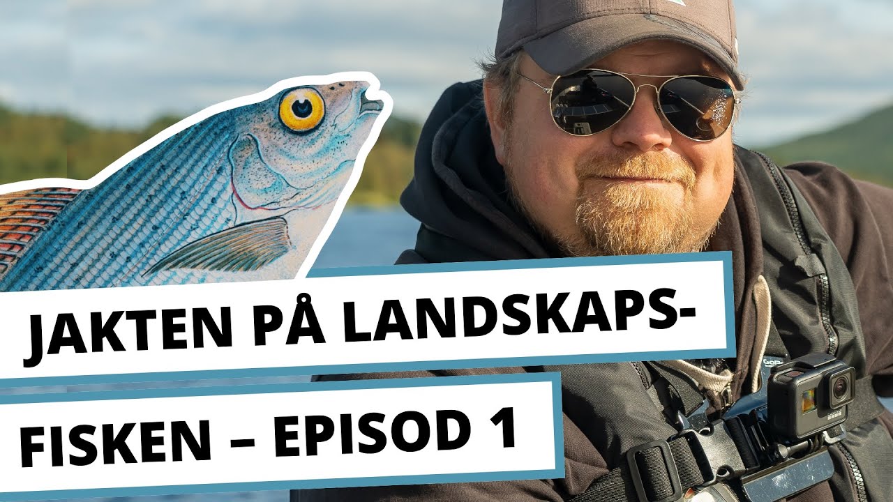 Jakten på landskapsfisken Episod 1 – Harrfiske i Härjedalen (2021)