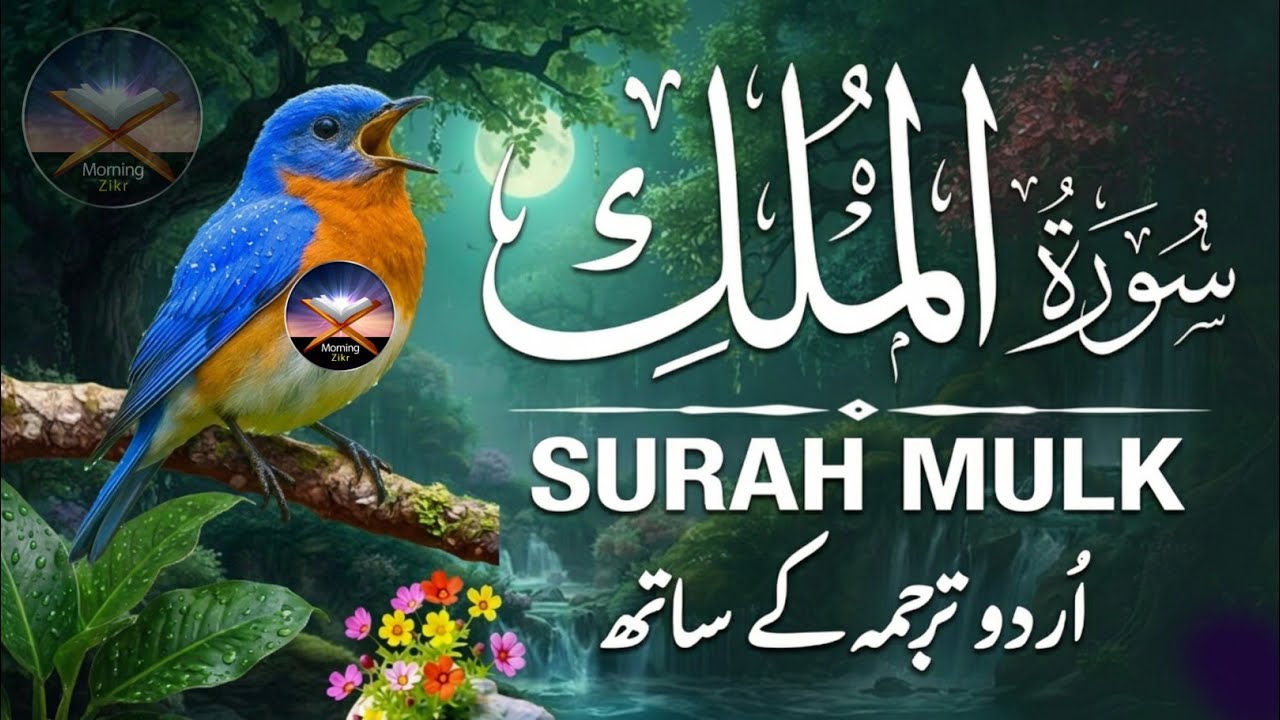 Surah Al-Mulk Full Recitation with Urdu Translation | Blessings & Protection | #surahmulk