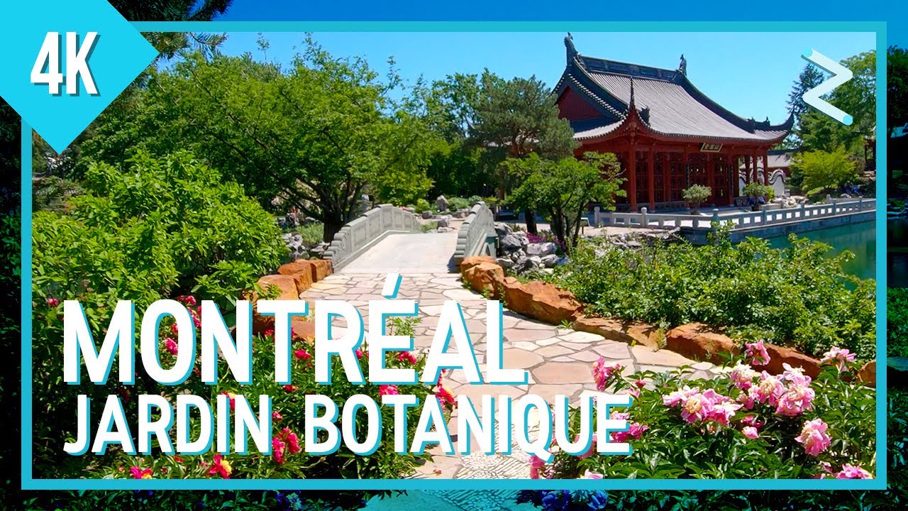 Walking in Montréal / Jardin Botanique