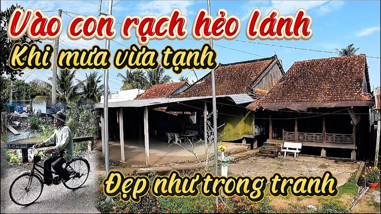 Đi Vào Con Rạch Hẻo Lánh Khi Cơn Mưa Vừa Tạnh Cảnh Đẹp Như Trong Tranh 